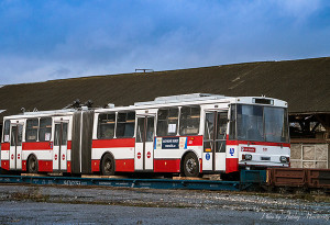 DSC06525_UTF(1016)