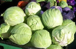 Most-Useful-Cabbage-3