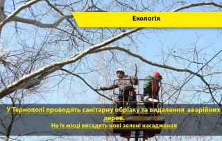 obrizka-derev-u-ternopoli-2020