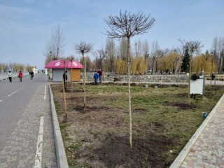 dereva-park-shevchenka-20-03-2020-1