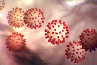 koronavirus-25092020