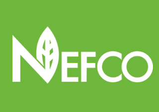 NEFCO-modernizatsiya-osvitlennya-u-ternopoli
