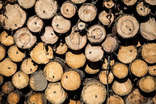 _mg_8217-2560x1707
