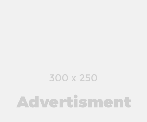 300×250