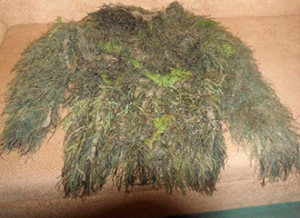 1407230416_sDdWB-zXapI