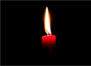 1798538_571857562910585_1989991907_n-300x200