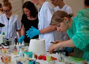 56b78393-720c-4e11-8896-5afd12809d0c