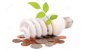 bombilla-ahorro-de-energia-18956207_1