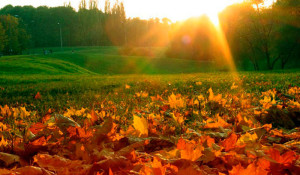 5411895ea04981410435422705_big