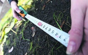 1411128953_0e8f3809c54cd6b2a7fe36daa3df16f6