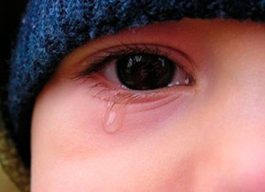 41b1fca4f54d6f8483b90feff7d6be0e-450_0_1