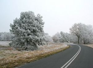 51_1680_1050_beautypic