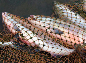 6ba7b81a5993dfaeeafaee1e86ca3b52