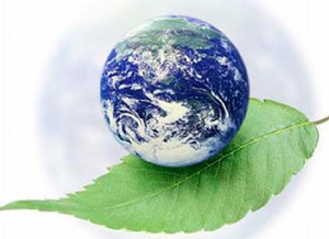 b3c52dcbdfeacfed21dc8a2db9908770