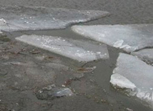 1387523868_top-photo