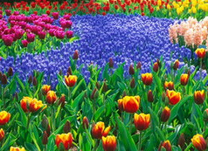 9421d5ed82ea0af869d896aacd1389a6