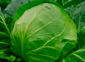 v-ukraine-ne-budet-ranney