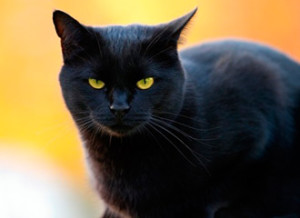 yak-znyati-rodove-proklyattya