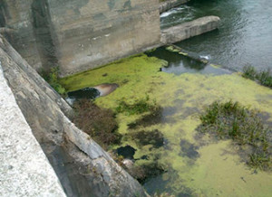 58096d0f49ef019f614da1bc6ca2bb3e