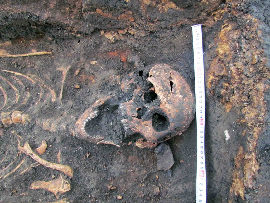 a4253c2ef9dbd127c48125644c136118