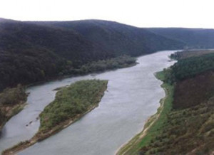 image003_145700569184