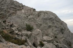 s419x0-news-1520910349