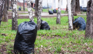 67652a5bee2e2c28afdca3794ed58c48