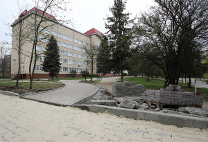 IMG_25051000_R_060417