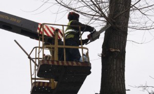 obrizka-10-535x3302018