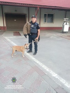 33780049_589671751401865_7951388721633296384_n