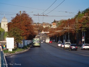 39616320-1044868156t200818