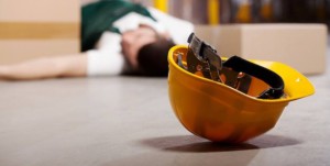 44125447_2419705361379792_4128956368944103424_n