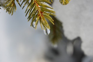 1487334742-4510-na-vyihodnyih-v-ukraine-potepleet