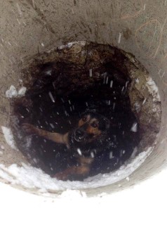 51056081_1232760810196770_7586855841991491584_n