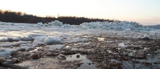 36298838_5c60520c5786d