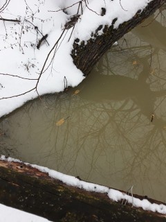 51210457_2012718632177569_7771106361282134016_n