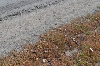 53179326_2235035689892728_398285339698921472_n