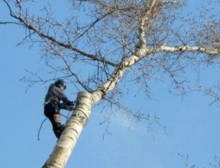 vydalennyaderev27022019