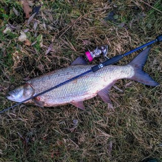 52825994356298568318293745759820421791744n_5c7aa784bc28a