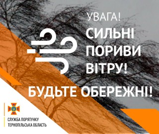 54432811_1262838967188954_4407268282629881856_o