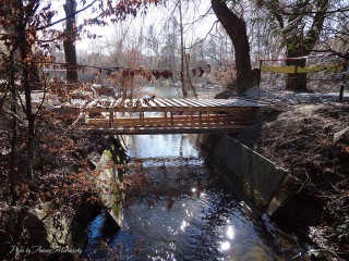 gidroparktopilche27032019-4