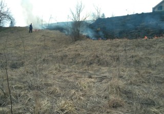 spalyuvannyalistyaternopil-6