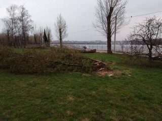 vidalennya-derev-ternopil2019