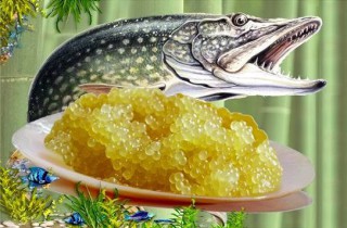 64556380_843663692663566_3278771767409115136_n