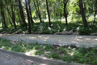 65070891_442629176571582_7295079450645889024_n