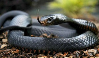 4v4djiJIjCMAz920fiCu.w695