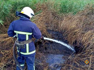 66038030_1350238111782372_5875818833511448576_o