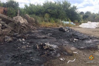 66449838_1352244318248418_1610729211218100224_n