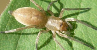 e2756dea181cf024f18450c9d5f88301_XL