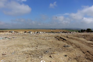 maoashovetske-smittezvalishche-lipen-2019